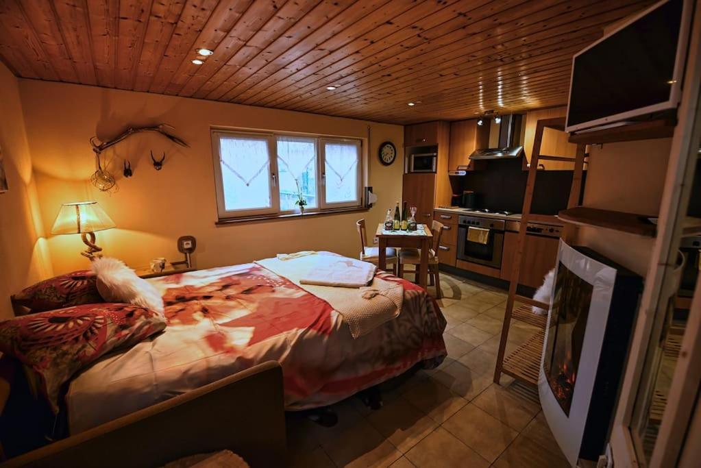 Ferienwohnung Les Chouchous Du Ried 3 / Proche Europapark Saasenheim Exterior foto
